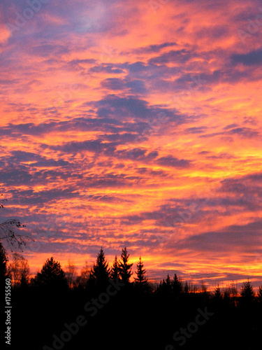red dawn   sunrise