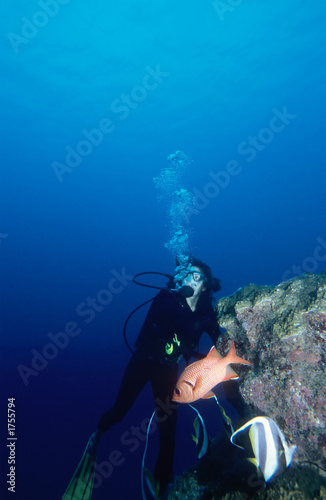 diving woman