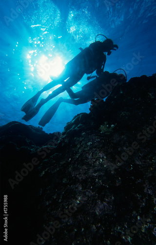diving the reef © Seawaters