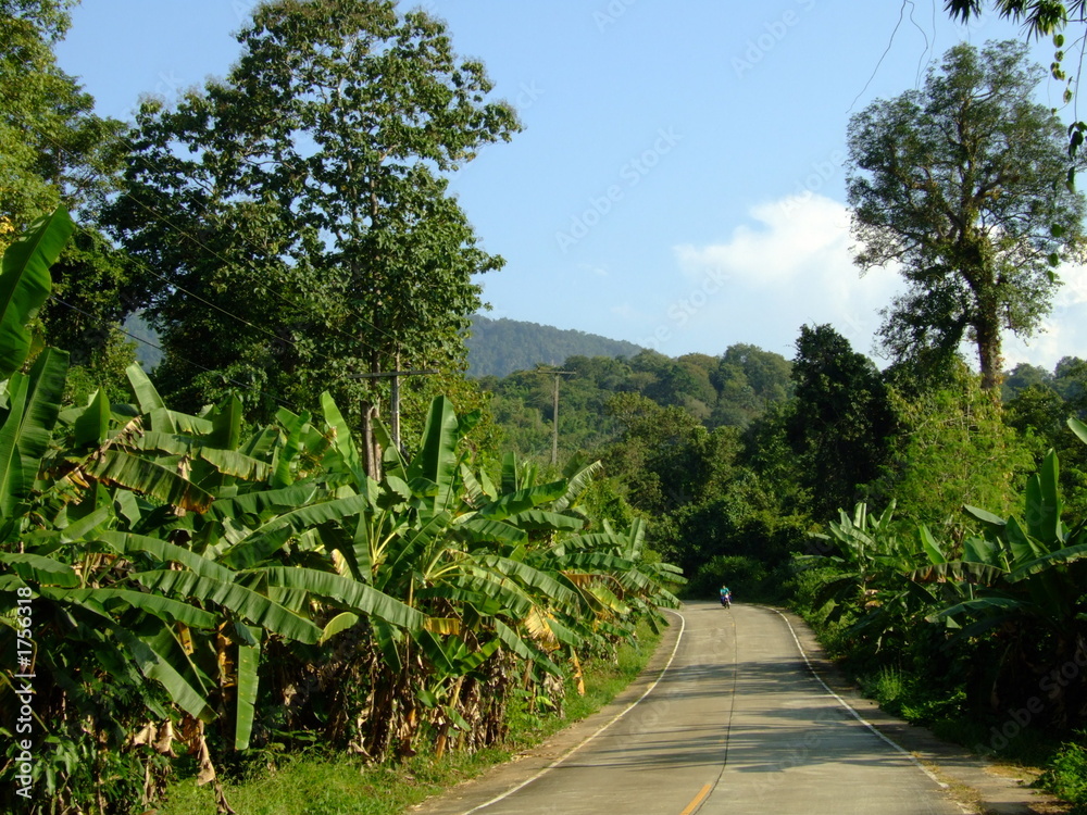 route en campagne