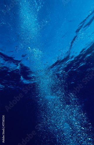 bubbles © Seawaters