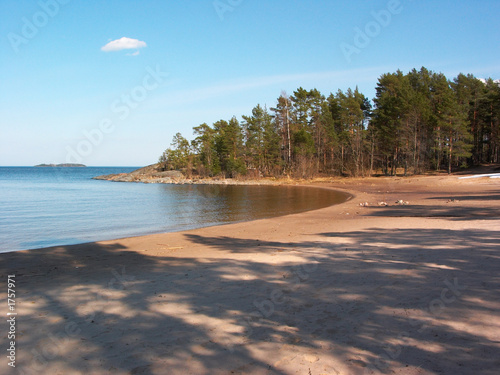 forest beach