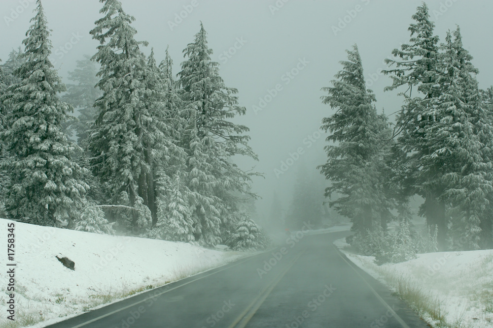 Obraz premium snow road 7