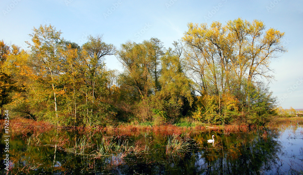Obraz premium fall colors - autumn countryside - pond