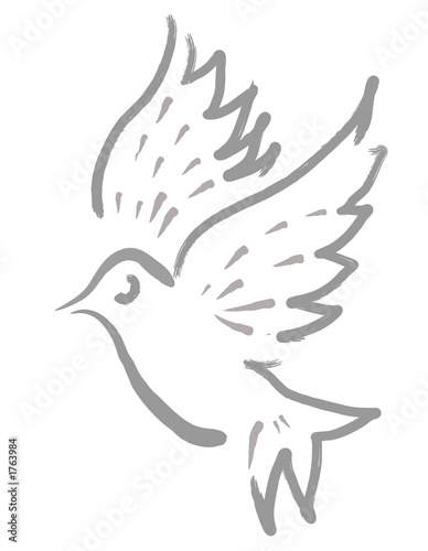 pigeon
