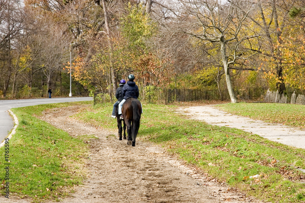 Fototapeta premium horse riding