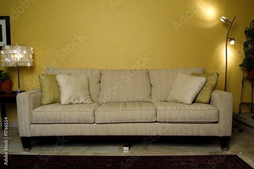 sofa in living room