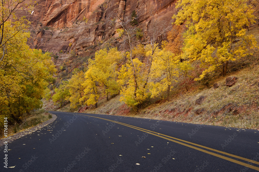 Fototapeta premium autumn road 2