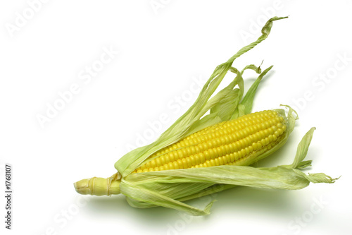 corn cob i