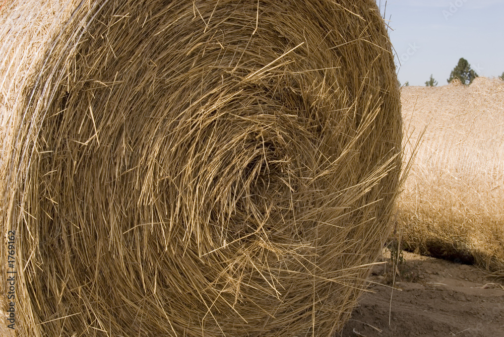 hay bale hay bale