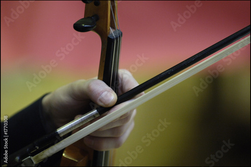 violon photo