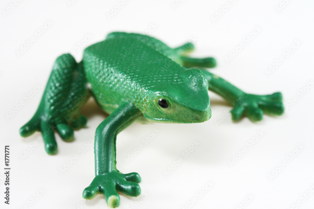 green frog