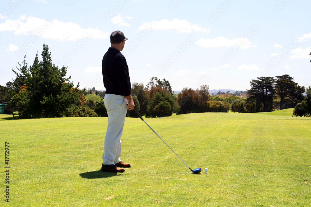 Fototapeta premium tee off