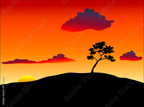 tree silhouette