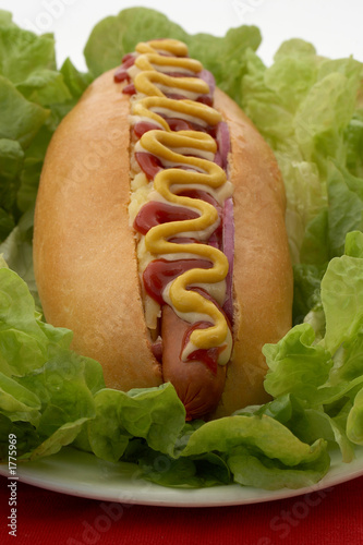 hot dog on a bed of lettuce photo