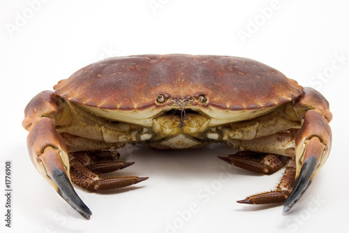 fruit de mer
