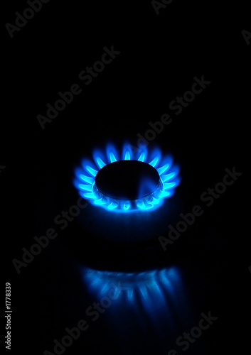 small gas stove © Aradan