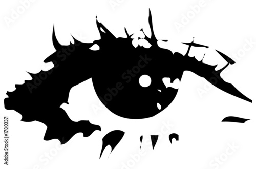 the eye