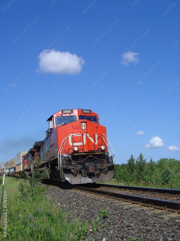Fototapeta premium locomotive canadienne