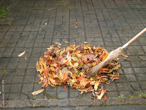 Tableau sur toile feuilles mortes et balai