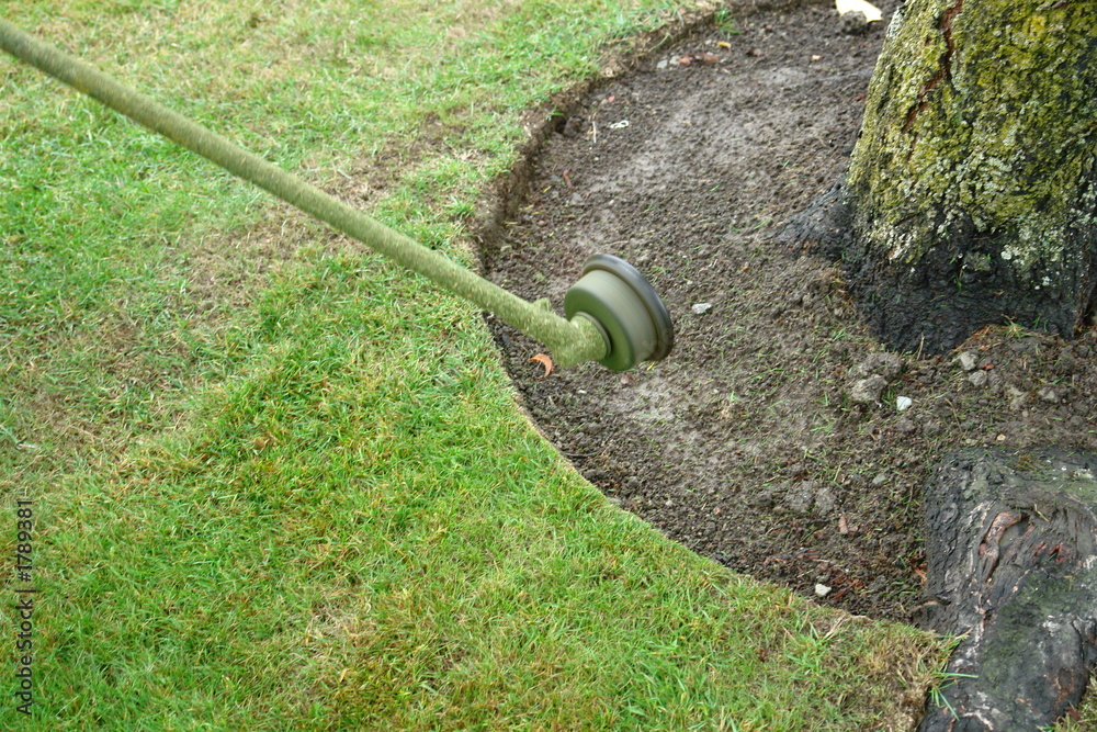 grass cutting Stock Photo Adobe Stock grass cutting Stock Photo Adobe Stock