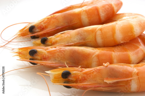 prawns