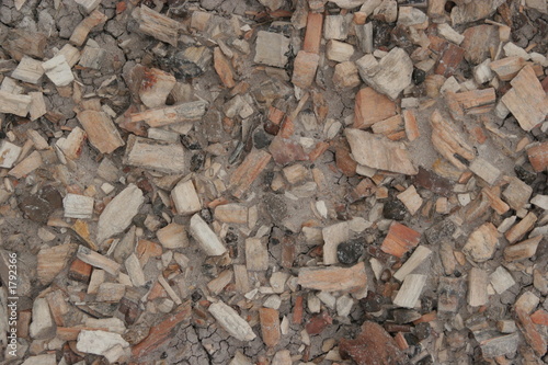 Wallpaper Mural petrified wood chips Torontodigital.ca