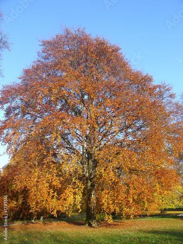 herbst