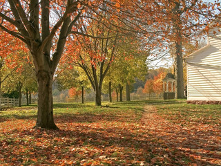 country autumn