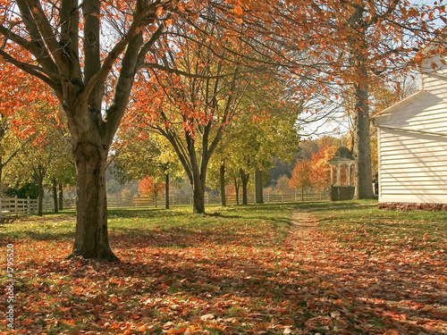 country autumn