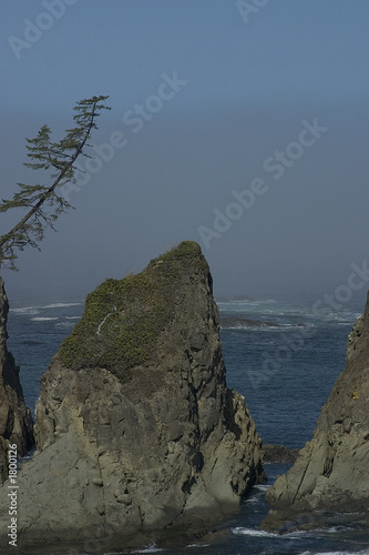 oregon coast #1
