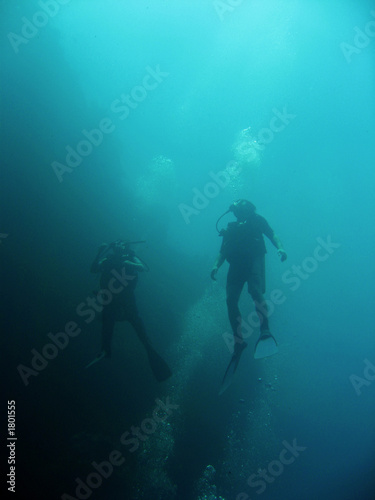 blue divers © simon gurney