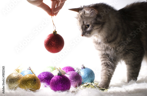 kitten playing with christmas ornaments