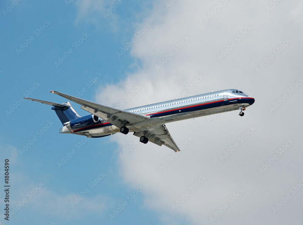 Obraz premium silver passenger jet