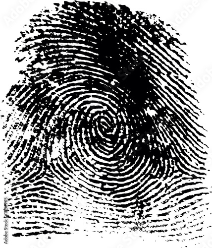 fingerprint19