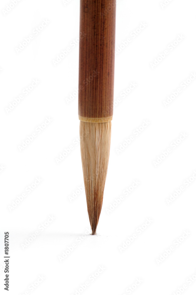 Obraz premium brush pen