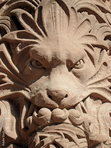 Photography toronto gargoyle