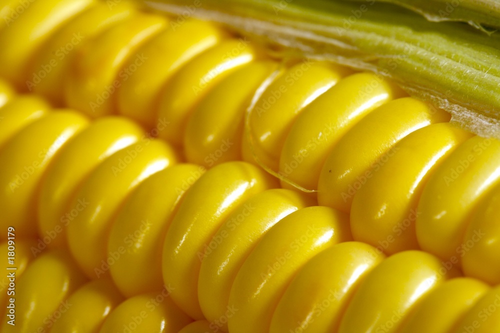 corn