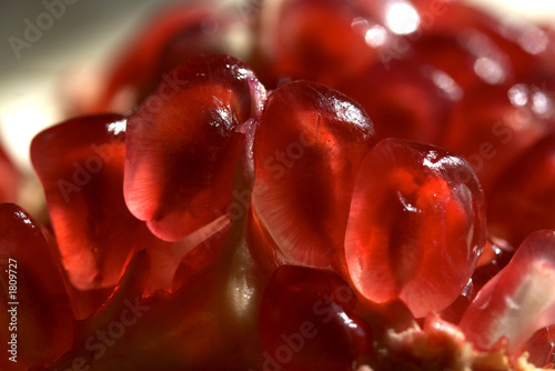 Quadro su tela pomegranate