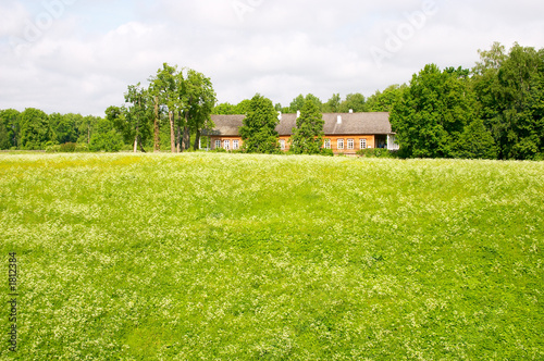 field and wooden rural house