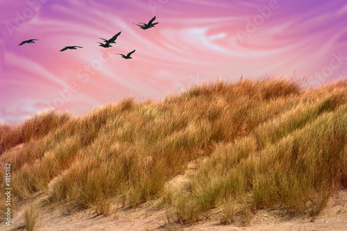mystical sand dune