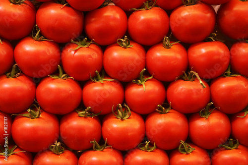 tomaten photo