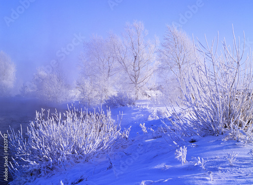 winter