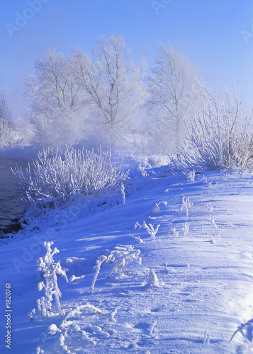 winter