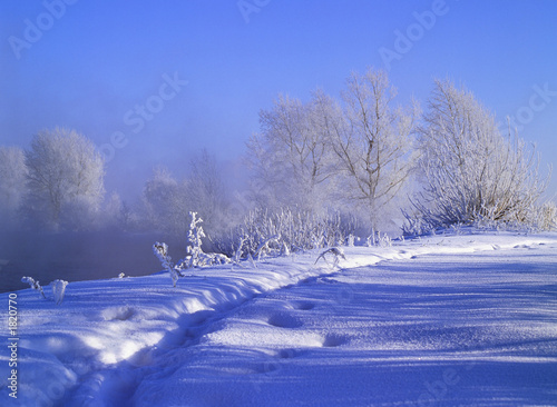 winter
