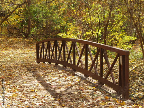 wooden bridge in fall