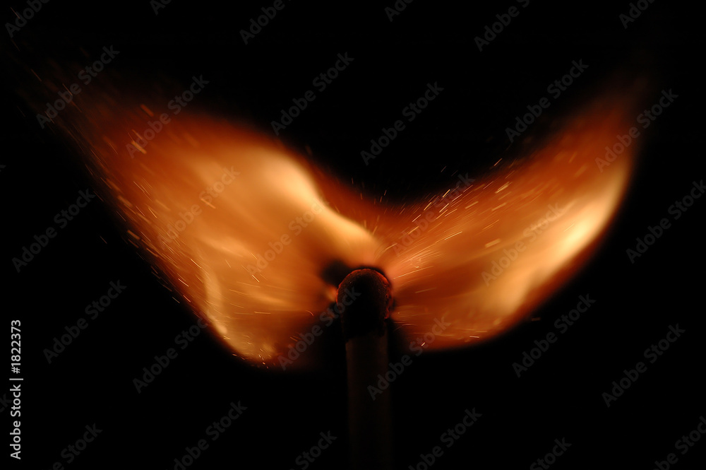 fiery butterfly fiery butterfly