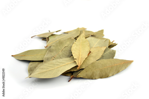 spice - bay leaves