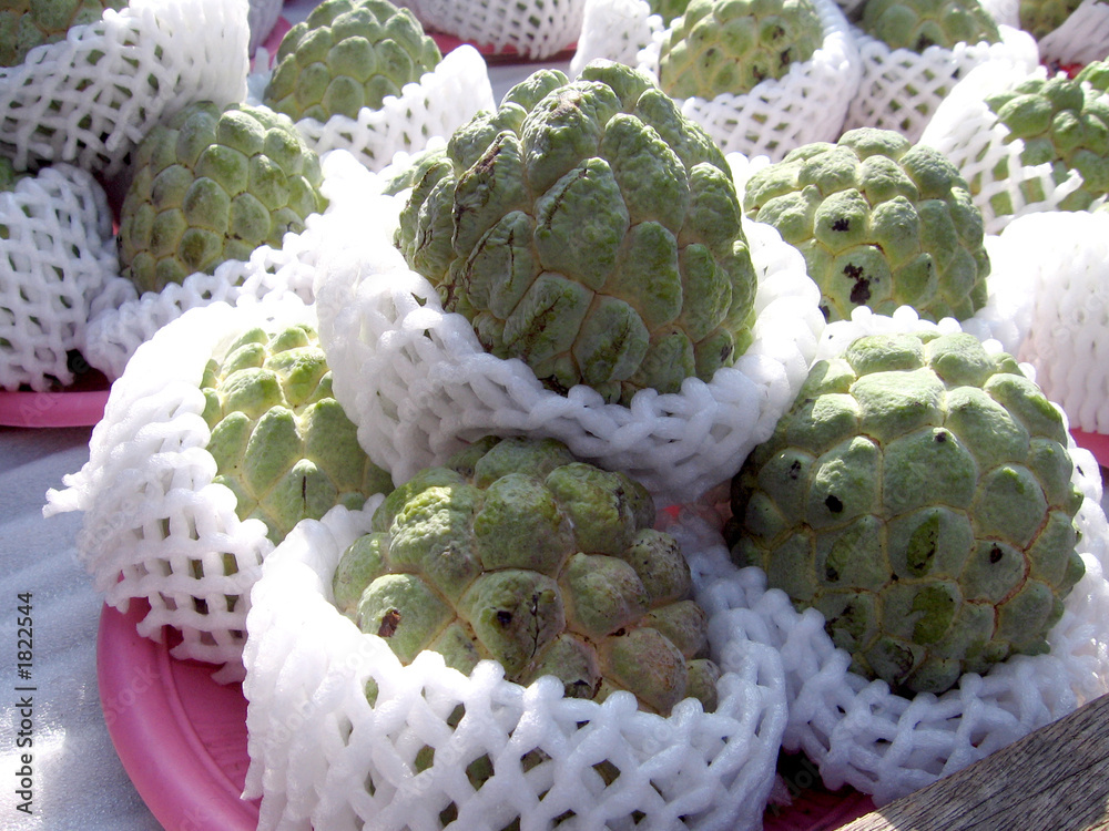cherimoya cherimoya