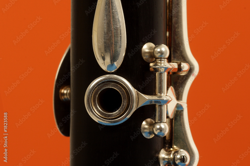 Fototapeta premium clarinet